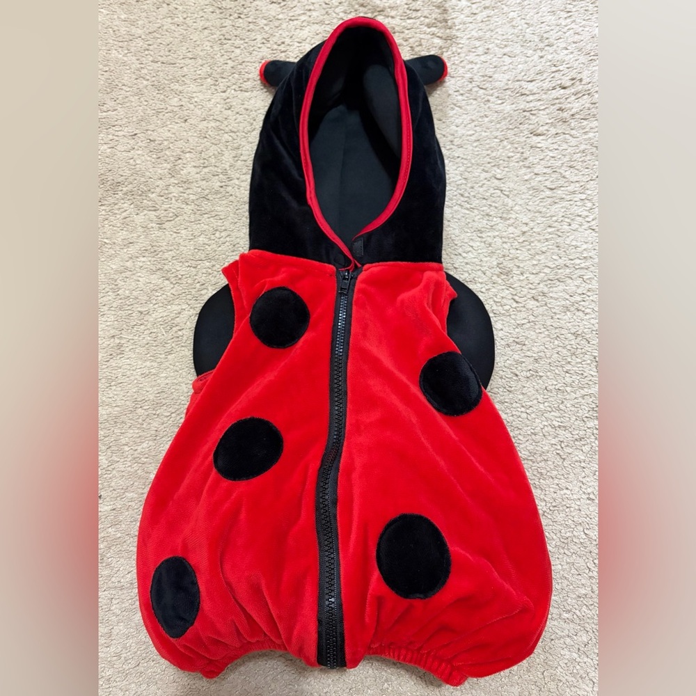 Lady Bug Baby Girl Halloween or Dress Up Costume Outfit Size 6-9 Months